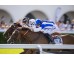  Carrera: P.Duque de Osuna Monta: V.Janacek Caballo: Donental